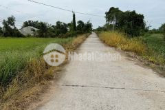 Bán đất thổ vườn mặt tiền kênh ở xã tân hòa, bến lức tdt 1297m2 có 1200m2 thổ giá 1,3 tỷ