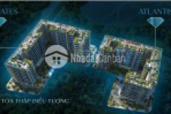 Quỹ căn độc quyền noble crystal, chiết khấu 6 lãi suất 018th, 100 thanng máy từng căn