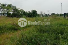 Cần tìm đối tác chuyển nhượng đất kcn đồng văn, duy tiên, hà nam