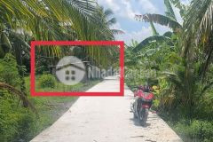 Bán 1600m2 đất tại xã bình ninh, đồng tháp, chỉ 1.8 tỷ. lh0989008689.