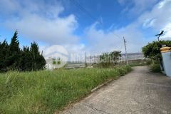 Bán đất sổ xây dựng đường nhựa trịnh hoài đức