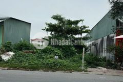 Bán nhanh đất nền gần cao đẳng bến lức long an đất thổ 5x46,6m233 m² chỉ 3tỷ8