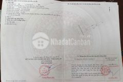 Bán nhanh 2 lô đất 364m2 mặt tiền phan văn mảng bến lức, giá 11 tỷ shr