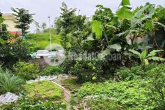 Đất 40 m2 nhỉnh 5 tỷ mặt tiền 4, 5 sổ đỏ dẻ hơn đất ngoài đê