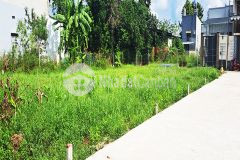 Cơ hội đầu tư đất thổ cư giá siêu rẻ mua 1 được 2 phường bảo vinh, t đồng nai