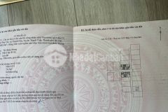 Bán căn hộ chung cư 2 phòng ngủ, full nội thất thuộc tầm trung tại phenika hòa lạc, giá chỉ 2 tỷ