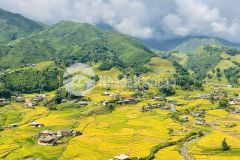 Bán mảnh đất chính chủ view thung lũng mường hoa