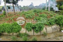 Bán gấp đất mặt tiền ql20 xã đức trọng,lâm đồng 10mx52m chỉ 4.2 tỷ thương lượng