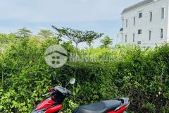 Cơ hội sở hữu đất nền biệt thự giá tốt không thể bỏ qua