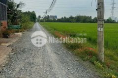 Bán đất thổ cư xã hòa khánh đông, đức hòa dt 145m2 giá 880 triệu