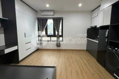 Bán nhanh nhà lạc chính, bđ giá 89 tỷ, 94m2x3t, kd tốt