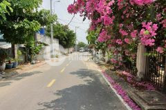 Bán nhà mặt tiền xuân thới thượng 12, x. xtt, hóc môn 15 x 23,5m giá 10,8 tỷ.