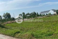 Bán đất thổ cư xã mỹ hạnh bắc, đức hòa dt 240m2 giá 1,2 tỷ