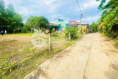 Bán lô đất nhà vườn 195m2, cách quốc lộ chỉ 100m, dân đông kín sổ sẵn chỉ hơn 4trm2