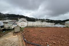 Bán lô đất xây biệt thự sân vườn view thoáng đường trịnh hoài đức