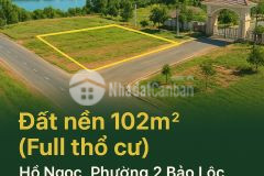 Đất full thổ cư 100m² hạ tầng hoàn chỉnh tiện ích cao cấp