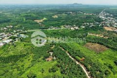 Chính chủ kẹt bán lỗ lô đất view đồi núi thung lũng siêu đẹp