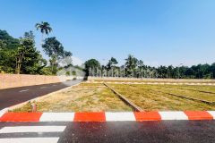 Đầu tư đúng thời điểm thắng cả chu kỳ f0 chỉ 4xx triệu