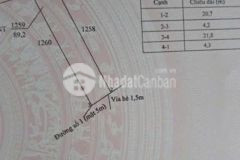 Bán nền thổ cư kdc xoài đôi, xã long trạch, cần đước dt 88m2 giá 1,5 tỷ