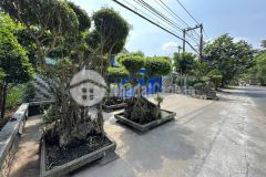 Bán nhà xường 2 mặt tiền đường thanh niên, phạm văn hai tdt 2.838m2 giá 59,5 tỷ