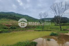 Siêu phẩm 4,4ha view đồi cực đẹp lương sơn, hòa bình