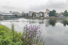 Bán nhà 38m2, vũ tông phan thanh xuân, cạnh hồ, gần ô tô tránh, lô góc, 4.25 tỷ