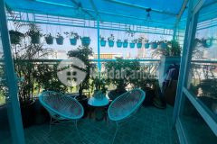 Tinh lăng giưa phônha nôi thanh hai ba trưng vê ơ ngay36m2 5 tâng nhinh 6 ty