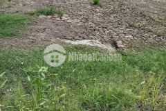 Bán đất thổ cư mt nguyễn văn thậm, xã phước hậu dt 106,5m2 giá 1,35 tỷ