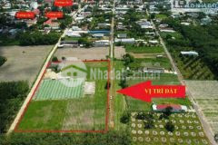 Bán 1,5ha đất ở đường phan bội châu thị trấn tân châu tây ninh