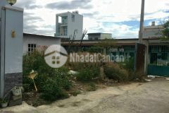 Cần bán lô đất hẻm đường quang trung, tăng nhơn phú b, dt 223m2 giá 10,9ty