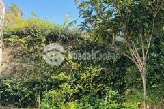 Cho thuê nhà vườn đẹp mặt tiền y moan đầy đủ nội thất 16 triệu tháng