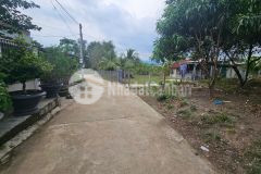 Bán đất diên xuân giá rẻ khu bàn cờ đường thông gần uỷ ban xã