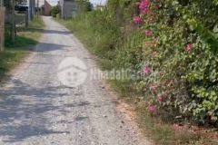 Bán đất xã tân mỹ, đức hòa dt 385m2 có 165m2 thổ đường đá xanh 5m giá 1,9 tỷ