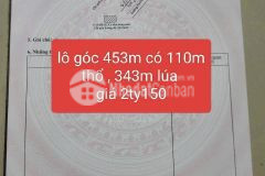 Bán đất đường phước toàn, long hiệp dt 453m2 110m2 thổ 343m2 đất lúa giá 2,15 tỷ