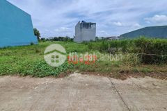 Bán đất thổ cư xã long cang, cần đước dt 262m2, đường đan 3,5m giá 1,35 tỷ