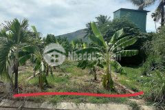 Bán đất diên toàn thôn đông dinh gần chợ cách trục đường huỳnh thúc kháng chỉ 200m