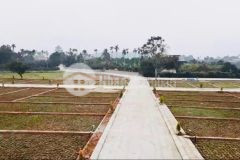 Nóng lõi kcn lạc thủy ra hàng 3xx triệu số lượng cực ít