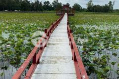 Bán đất vườn rạch láng the, xã phú hòa đông dt 7500m2 giá 7 tỷ