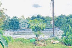 Hơn 9 sào sổ sẵn 8,5 sào, full cafe thuộc ninh gia, lâm đồng