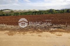 Bán đất thổ cư 5x34 view đẹp xã tân hội,lâm đồng chỉ 580 triệu sổ hồng riêng