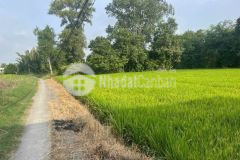 Bán 1000m2 đất lúa khu vực chuyển thổ, thích hợp phân lô xã phước tuy, cần đước giá chốt 1,3 tỷ