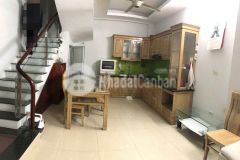 Cho thuê nhà riêng ở đường phú mỹ, mỹ đình, nam từ liêm 35m x 5t giá 13.5 triệu