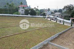 Mở bán 6 lô đất sát kcn nhuận trạch giá rẻ nhất khu vực lương sơn hòa bình