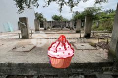 Cg bán nền đẹp trục chính đường d2 kdc an phú, cái răng, tp cần thơ. dt 81.9m2, giá 2.190 tỷ