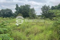 Bán đất mt đường long thuận, trường thạnh, quận 9, dt 1300m2 giá 30ty