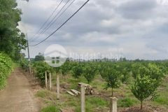 Bán đất thọ hòa, xã xuân thọ, xuân lộc 10ha, giá 62 tỷ.