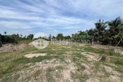 Bán đất thổ cư, đường beton xe 7 chổ, xã nhựt chánh, bến lức dt 1068m2 giá 3 tỷ