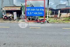 Bán đất thổ cư mt đường 833b, xã long định dt 244,75m2 giá giảm còn 3,45 tỷ