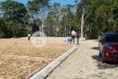 Bạn đang cần tìm 1 lô đất nhỏ xinh gần chợ, trường học đùng bỏ qua lô này nhé