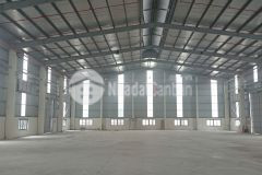 Cho thuê kho tiêu chuẩn cao tại đông anh, hà nội pccc tự động đã nghiệm thu